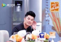 陈赫女友爆料事件视频,真相与争议交织