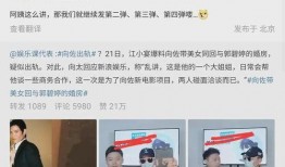 向佐狗仔爆料视频大全集,揭秘娱乐圈幕后真相