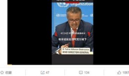 台湾爆料谭德塞视频播放,真相与争议并存