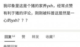 娱乐每日爆料文字,每日爆料大汇总