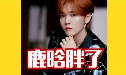 鹿晗爆料直播视频,独家爆料背后的故事与幕后花絮