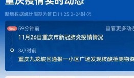 重庆疫情爆料视频,追踪病毒传播链，揭秘防控挑战
