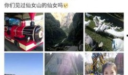 林俊杰绯闻爆料视频播放,揭秘背后真相与网络舆论风暴