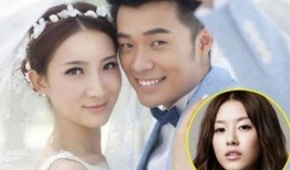 陈赫女友爆料事件视频,真相与争议交织
