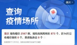 重庆疫情爆料视频,追踪病毒传播链，揭秘防控挑战