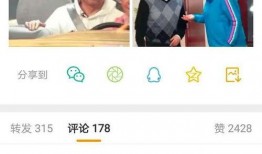 成龙武打爆料小助手视频,武打片背后的惊险瞬间与幕后故事