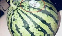 吃瓜网红图片头像大全集,全网热门吃瓜网红头像大盘点