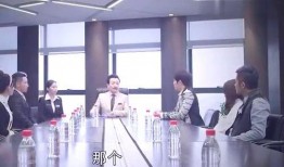 石油高管爆料新闻视频,行业内幕与真实挑战