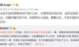 王四老婆被爆料视频播放,真相与争议