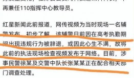 辅警爆料被打视频真实,现场视频揭露暴力冲突惊人一幕