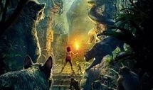 奇幻森林 在线观看,探险之旅，揭秘神秘森林的奇幻奥秘