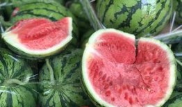 被吃瓜害了的网红,揭秘网络暴力背后的真相