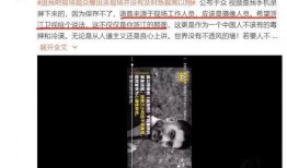 第一现场爆料视频,事件真相全解析