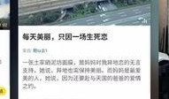 天天好日视频在线观看,尽享在线视听盛宴
