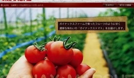 吃瓜搞笑小说番茄免费阅读,笑料百出，瓜田里的欢乐时光