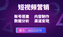 短视频创业热点爆料防骗,揭秘常见骗局，守护你的创业梦想