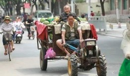 免费吃瓜摆摊,夏日街头新潮流