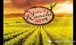 今天牧场在线观看,云端牧歌，尽享田园风光