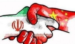 伊朗肺炎最新爆料,揭秘病毒变异与防控挑战