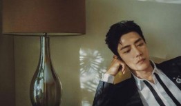 新闻大爆料肖战,新闻大爆料揭露背后真相