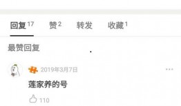 娱乐每日爆料文字,每日爆料大汇总