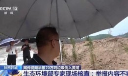 孤独小猪被大哥爆料视频,揭秘背后惊人真相