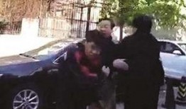 顺丰快递小哥爆料视频,揭秘快递行业背后的真实故事