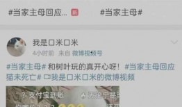 至美第一期爆料视频,独家爆料视频深度解析