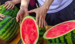 免费吃瓜摆摊,夏日街头新潮流