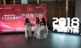 洛阳正大集团最新爆料,揭秘企业转型与创新发展之路