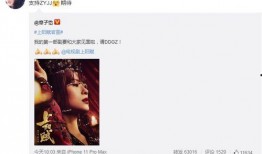 郑燕姿漂流视频爆料,揭秘明星私生活瞬间