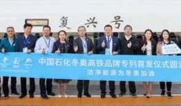 石油高管爆料新闻视频,行业内幕与真实挑战