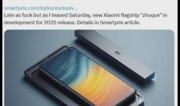 小米内部代号最新爆料,最新爆料揭示神秘项目背后的故事