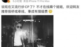 厉娜最新爆料,娱乐圈背后的惊人真相