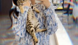 戚佳丽被前男友爆料视频,真相与争议交织”