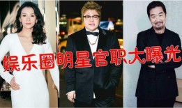 官方娱乐界大爆料,官方大爆料背后的惊人真相