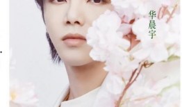 华晨宇和周杰伦最新爆料,揭秘音乐背后的故事与心路历程