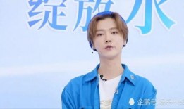 鹿晗爆料直播视频,独家爆料背后的故事与幕后花絮