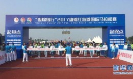 爆料辽宁盘锦事件视频最新,真相与争议交织的舆论漩涡