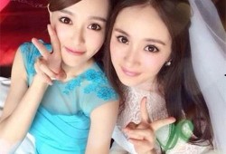 娱乐圈塑料姐妹花爆料,揭秘背后真相与利益纠葛