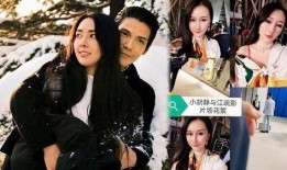 向佐狗仔爆料视频大全集,揭秘娱乐圈幕后真相