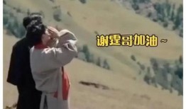 娱乐爆料 姐弟恋视频,甜蜜互动引网友热议