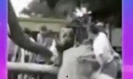 搞笑爆料的视频短片合集,让你笑到肚子疼