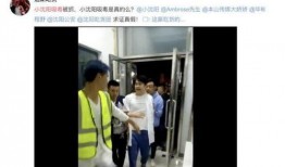 王四老婆被爆料视频播放,真相与争议
